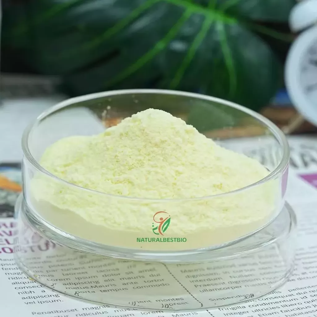 10 Crucially Important Reasons To Choose The Right Calcium AKG Supplier Today