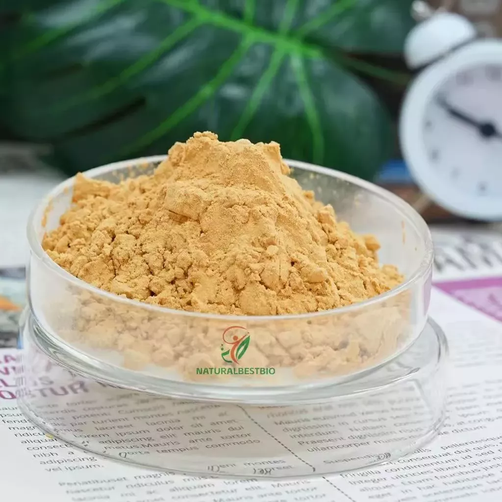 How The Right Cellular Health Ingredient Supplier Can Significantly Transform Your Health