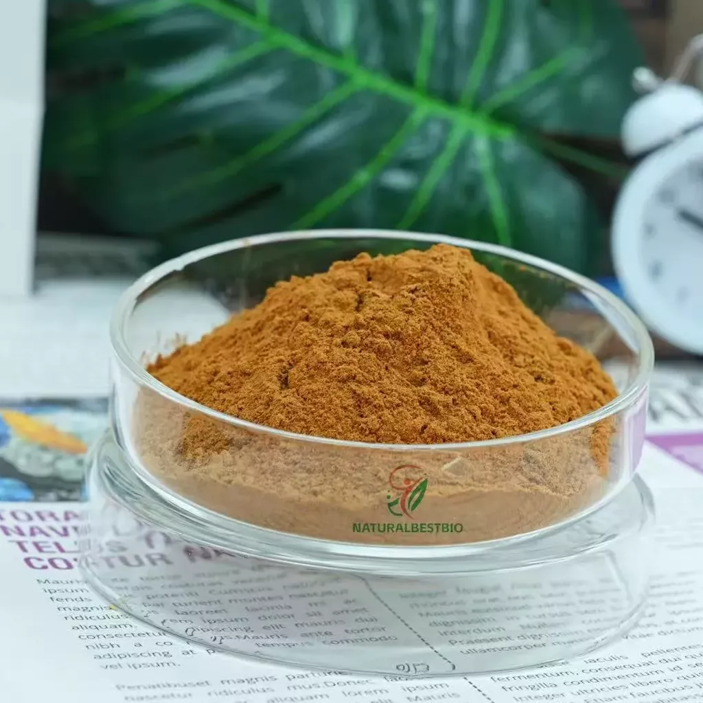Top 10 Questions To Ask Your NAD+ Powder Supplier Before Placing A Bulk Order