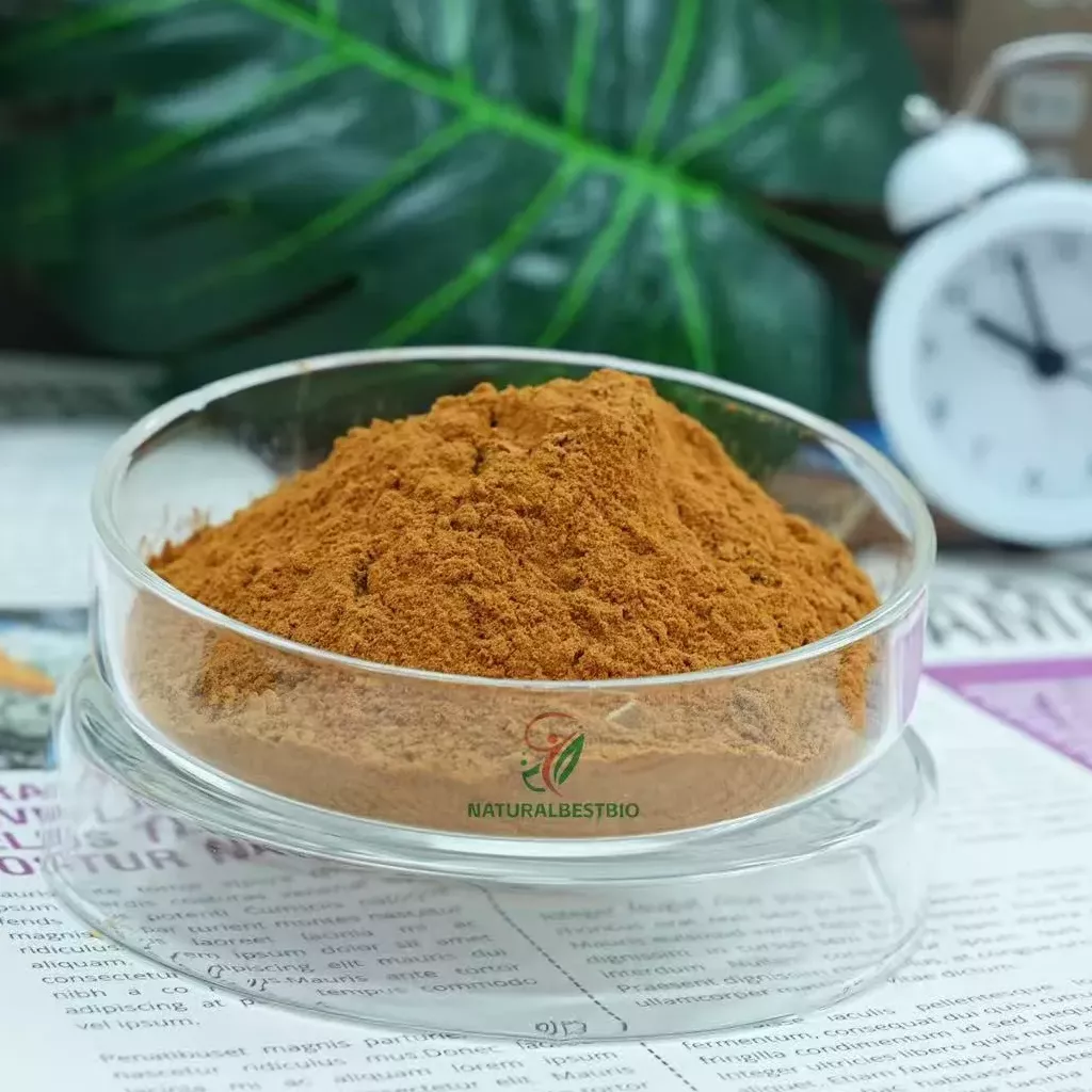 Wholesale Magnesium Acetyl-Taurate: The Complete Guide for Bulk Buyers & Supplement Manufacturers