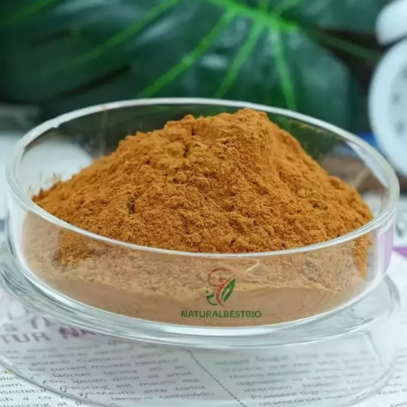 Why China’s Quercetin Manufacturing Is Better Than Ever: 5 Key Factors